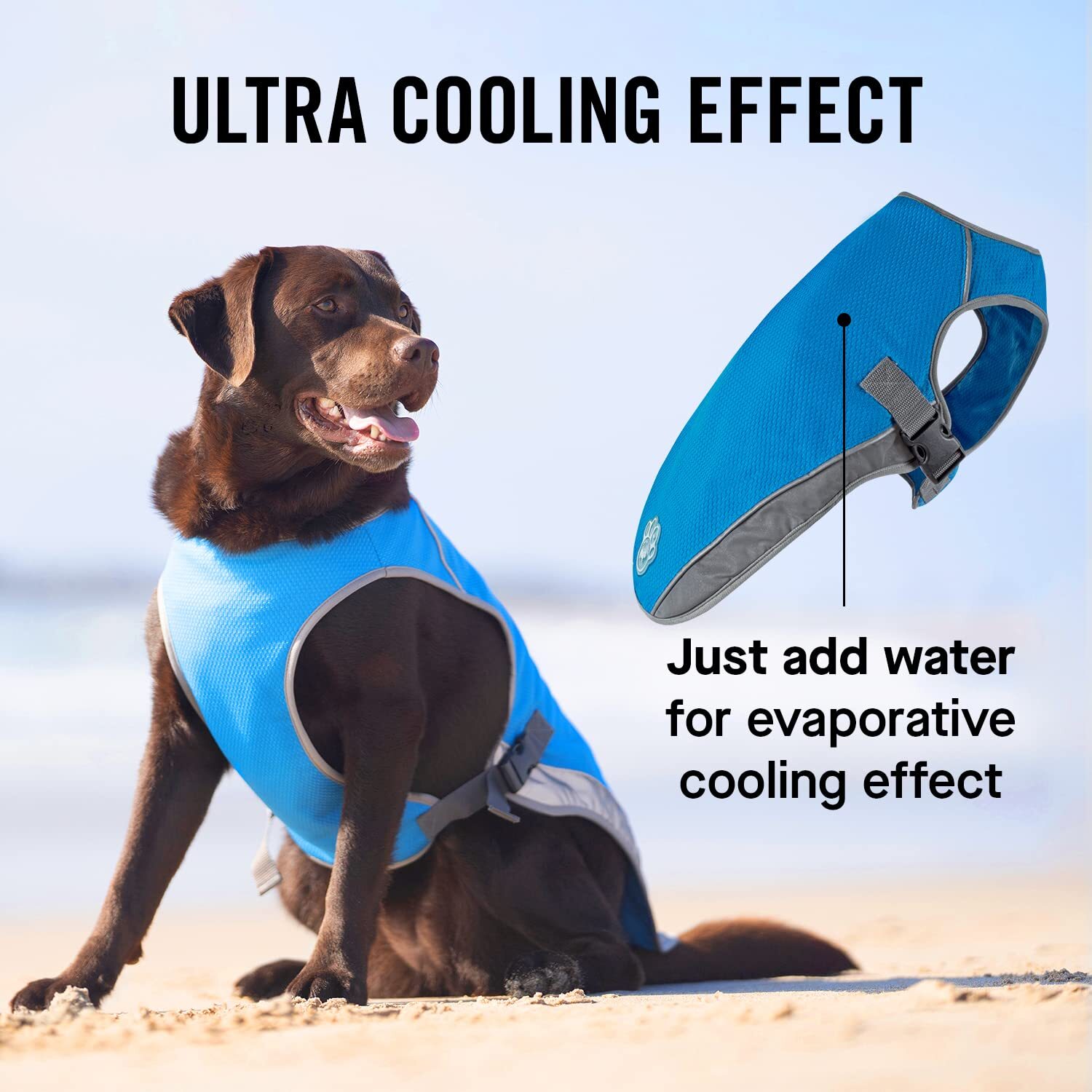 Canada Pooch – Chill Seeker Dog Cooling Vest, Breathable Mesh Material, Aqua, 8