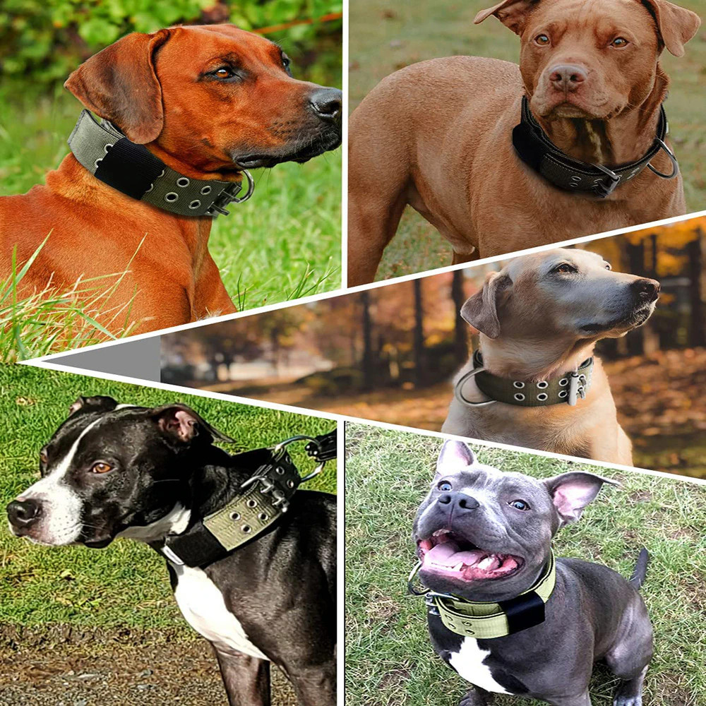 Tactical Heavy Duty Nylon Large Dog Collar K9 Military Metal Buckle Adjustable
