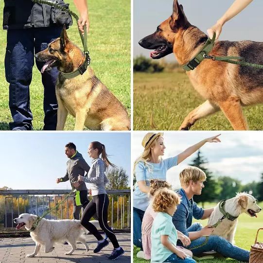 Tactical Dog Collar w/ Handle +Leash Heavy Duty Military Service Canine Training