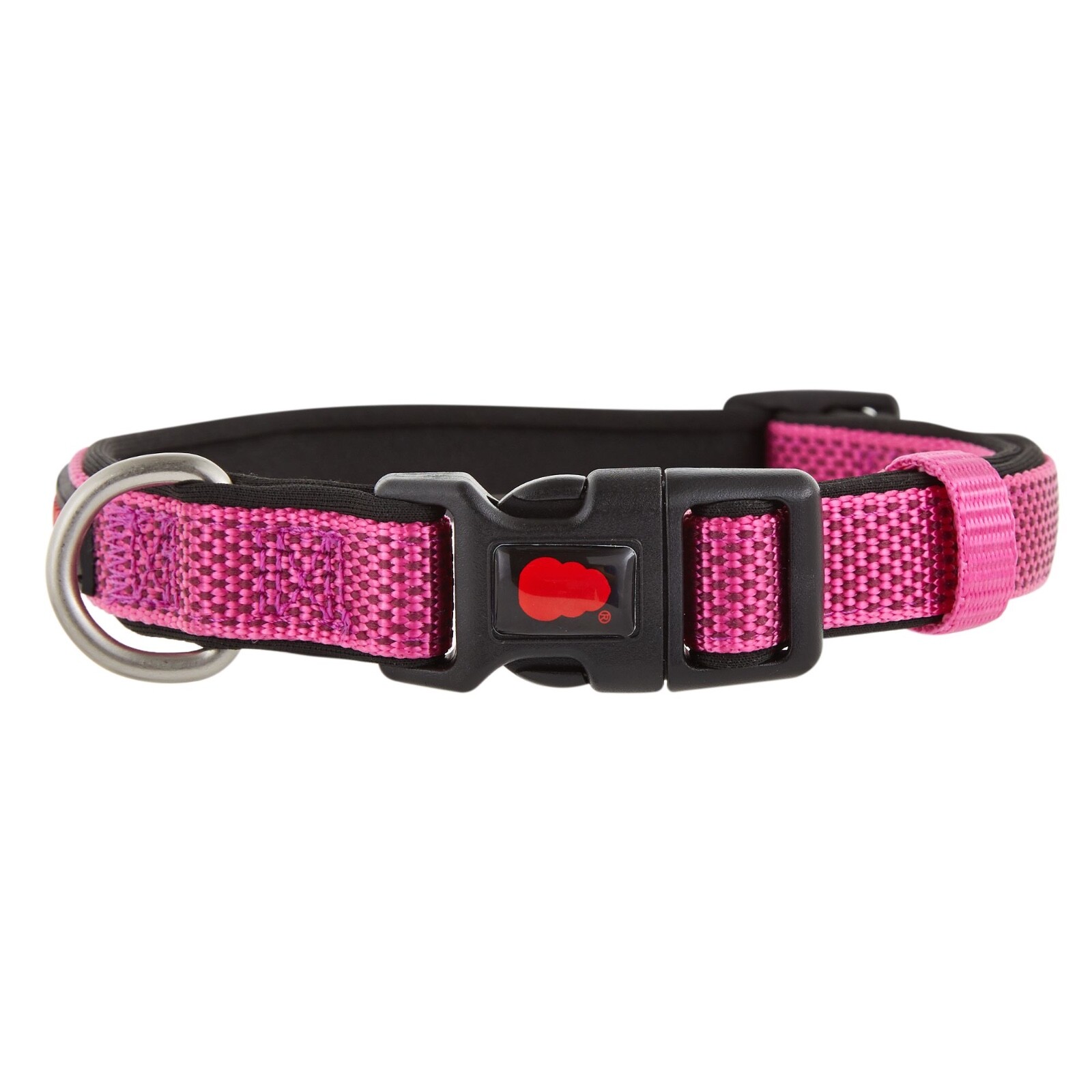 KONG Comfort Padded Dog Collars S M L XL BRAND NEW Assorted Colors! DISCONTINUED