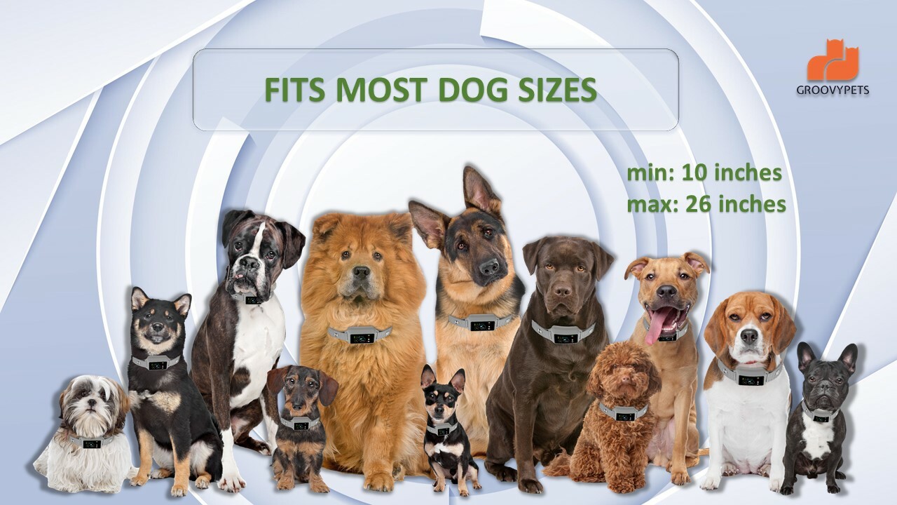 Touchscreen Automatic Anti bark Dog Collar Intelligent Safe Humane Waterproof