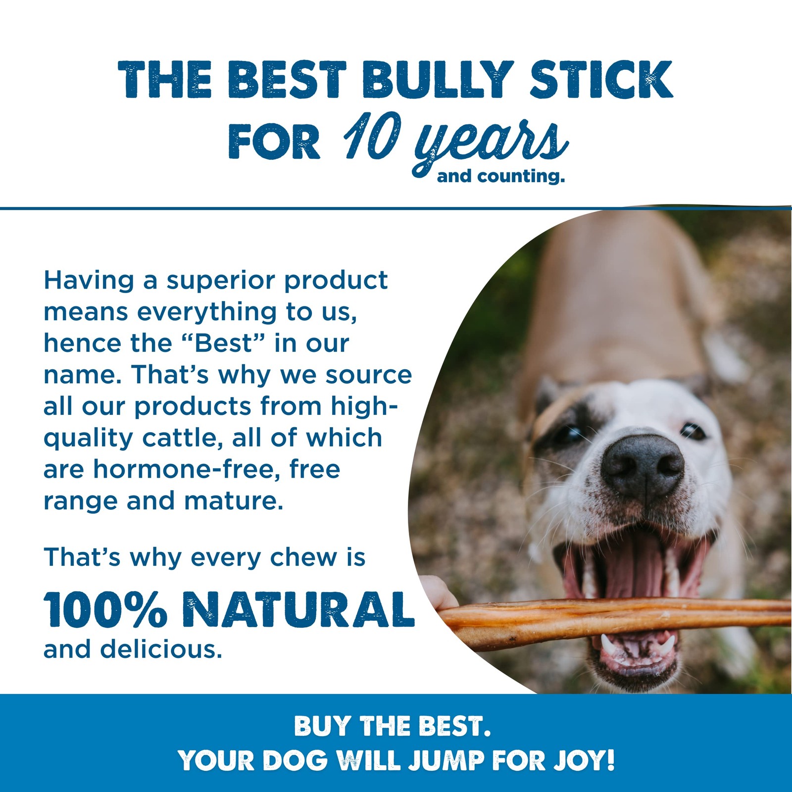 Best Bully Sticks Jumbo Bully Sticks 12 Inch, 25 Count Pack of 1 Natural, G…