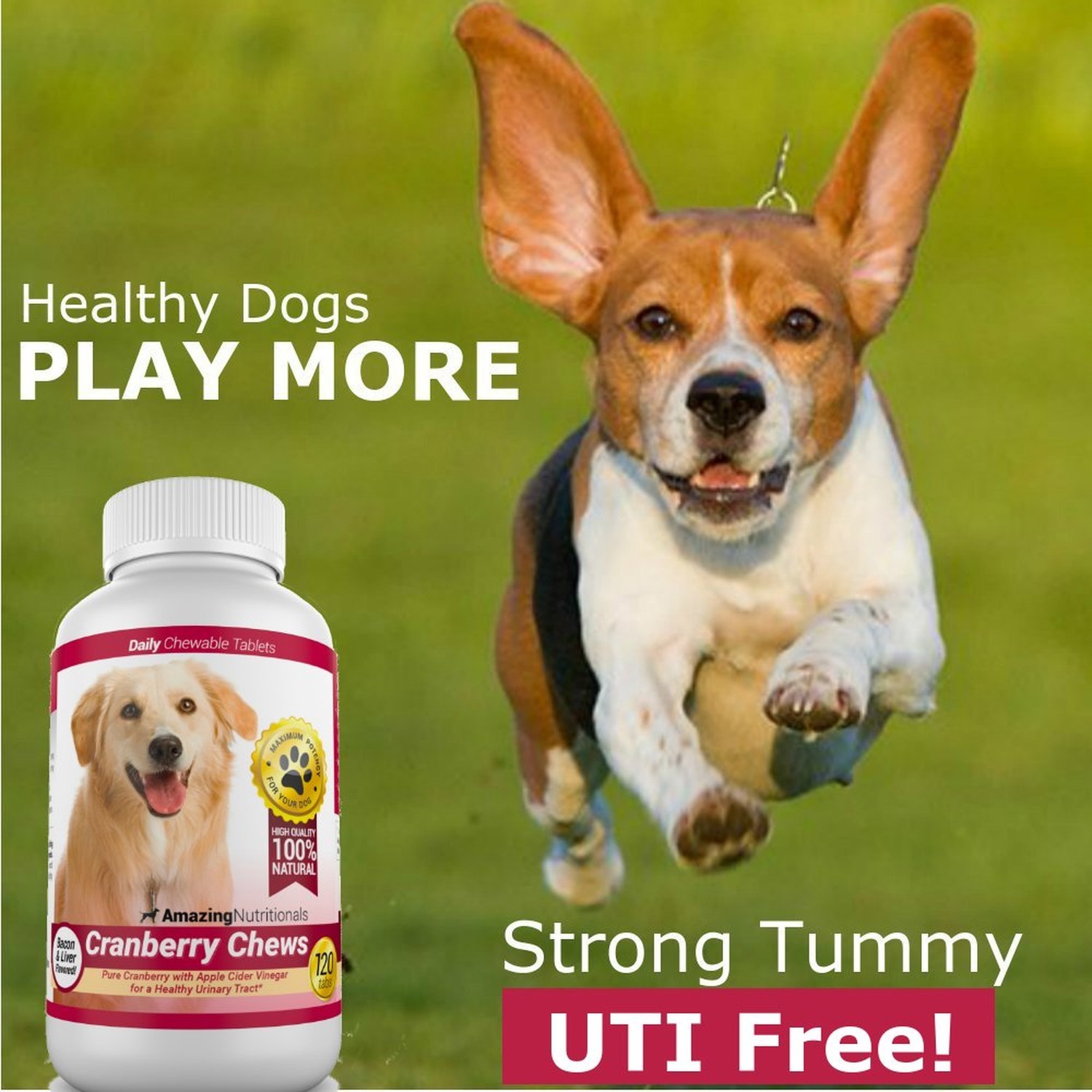 Amazing Cranberry for Dogs – Eliminates UTI Pain, Tasty Bacon Flavored Chews