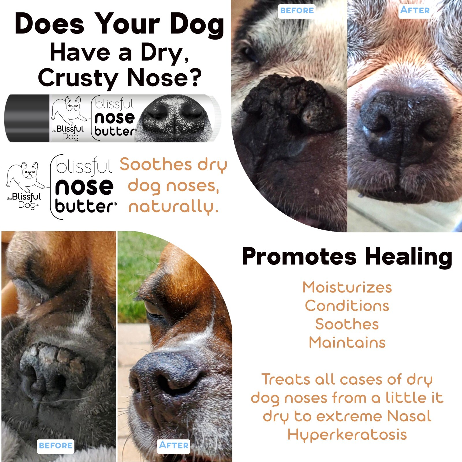 Shih Tzu Nose Butter | Herbal Balm Moisturizes Your Shih Tzu’s Rough Dry Nose