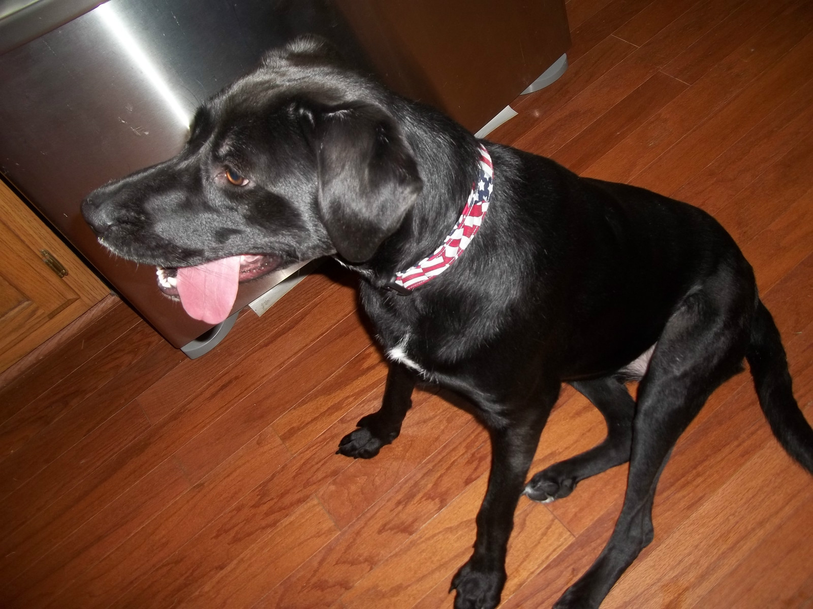 Oklahoma Sooners OU Terri’s Dog Collar handmade adjustable fabric University of