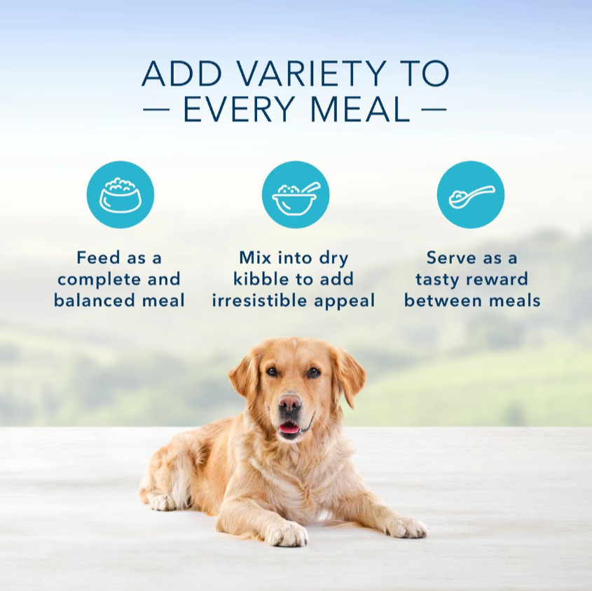 Blue Buffalo Homestyle Recipe Lamb Dinner Adult Wet Dog Food,12.5 oz,Case of 12