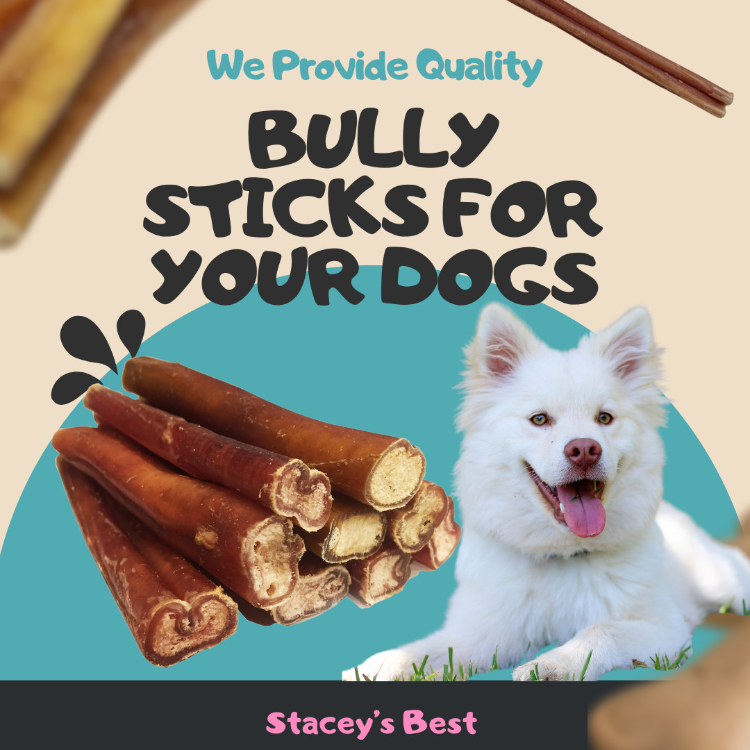 6″ inch EXTRA THICK BULLY STICKS natural dog chews treats USDA & FDA approved