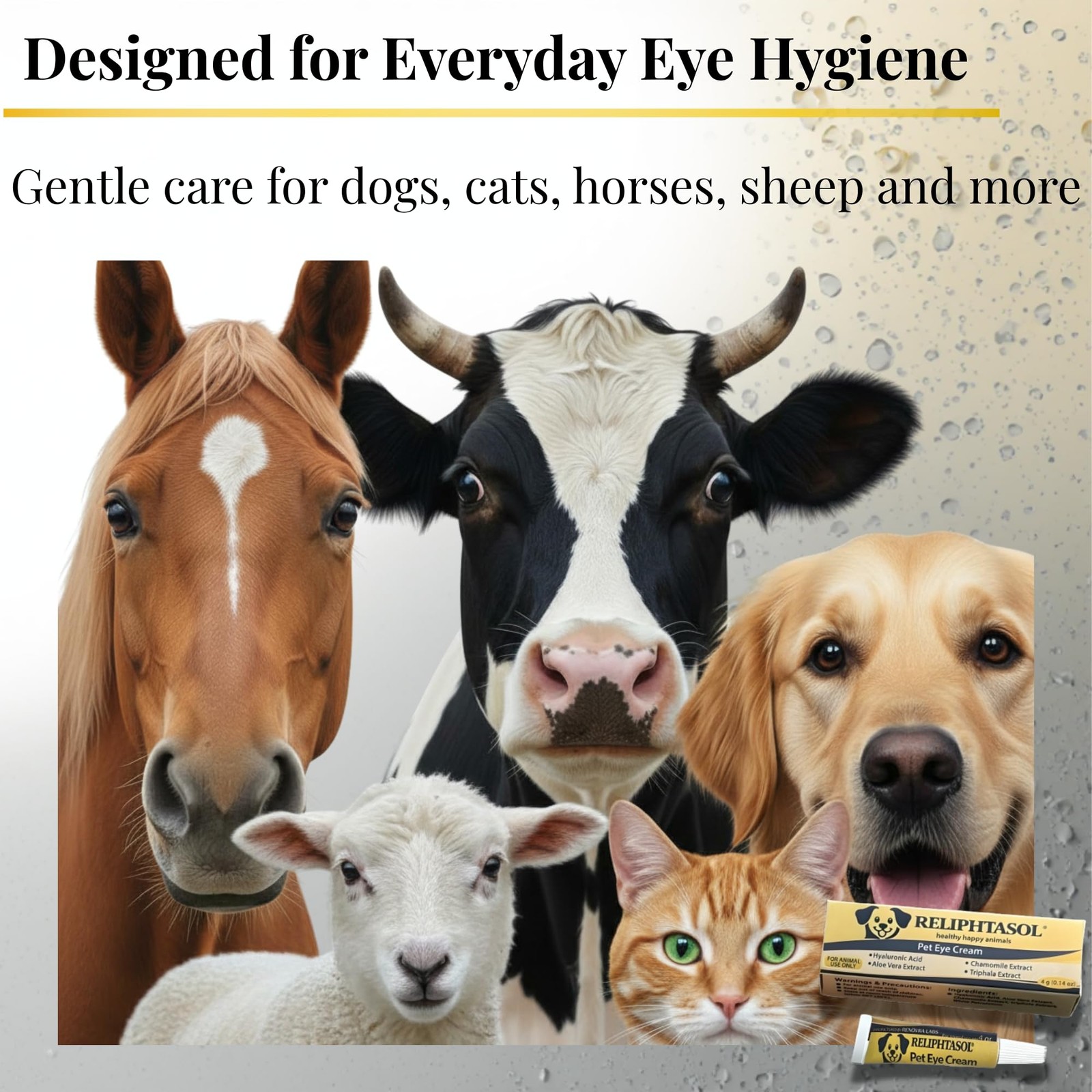 Pet Eye Cream – Vet-Formulated Dog Eye Infection Treatment, Pink Eye Relief, …