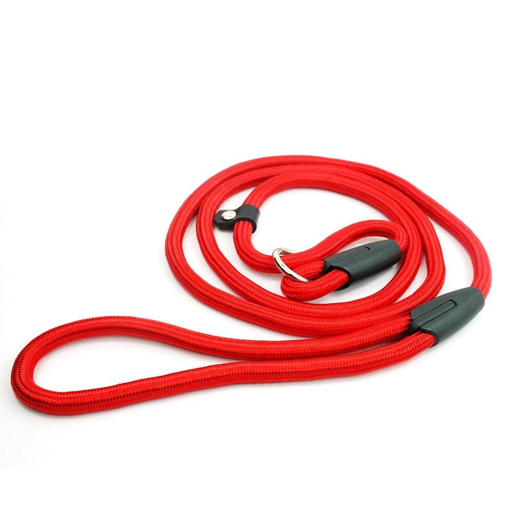 4ft Dog Nylon Adjustable Loop Slip Rope Leash Lead Training Choke Pet Collar USA