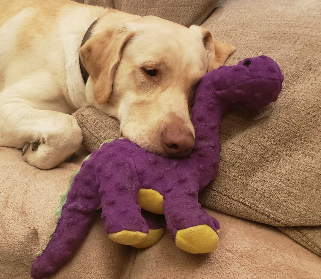 goDog Dinos Bruto purple With Chew Guard Technology Tough Plush Dog Large
