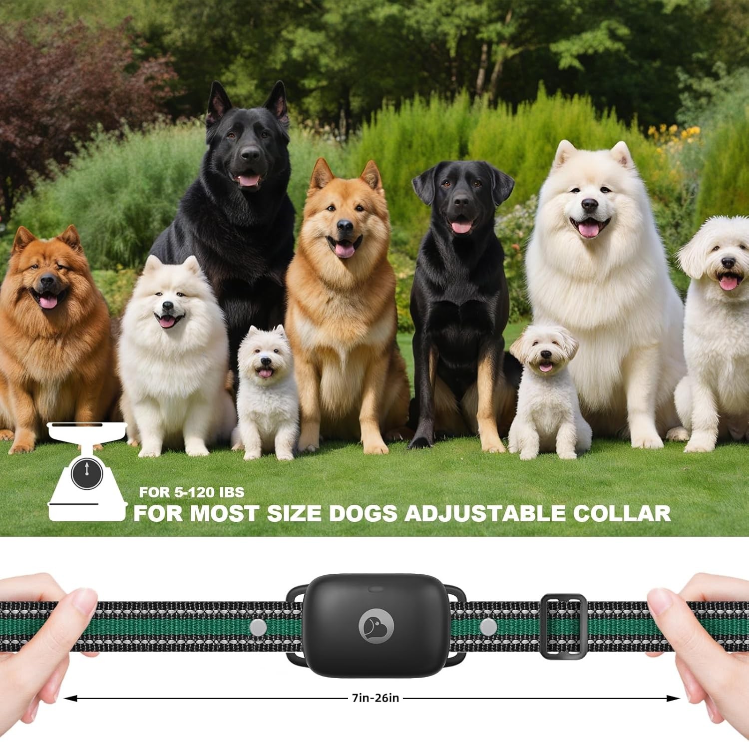 2600 FT Remote Dog Shock Training Collar Remote E-Collar Waterproof Pet Trainer