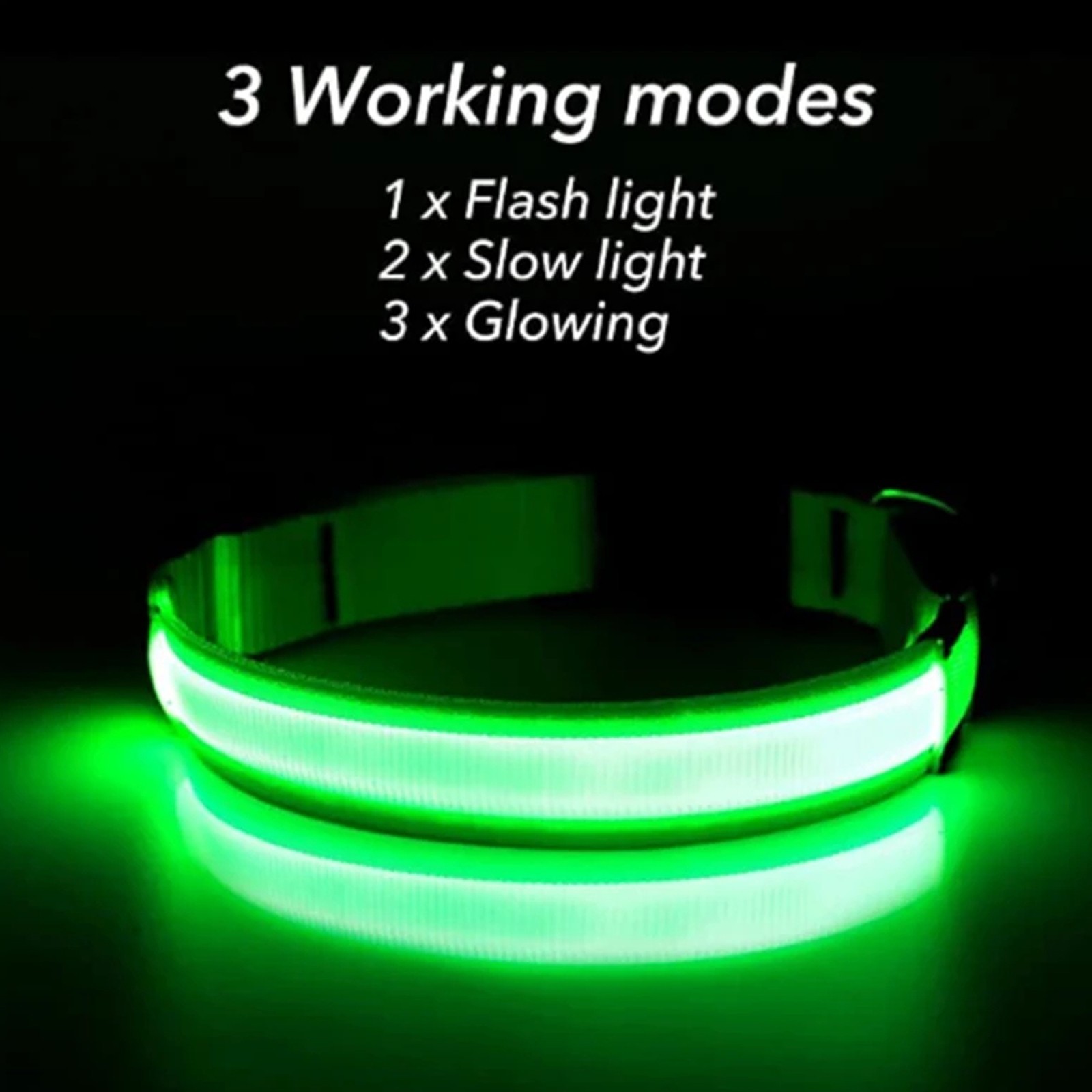 USB Rechargeable LED Dog Collar w/ Pendant – Glowing Safety for Small Dogs & Cat