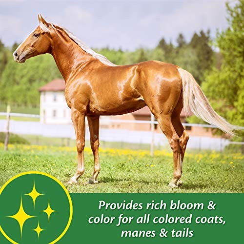 Farnam Super 14 Healthy Skin & Coat Supplement for Horses, Shiny Coat, 2.75 Lb