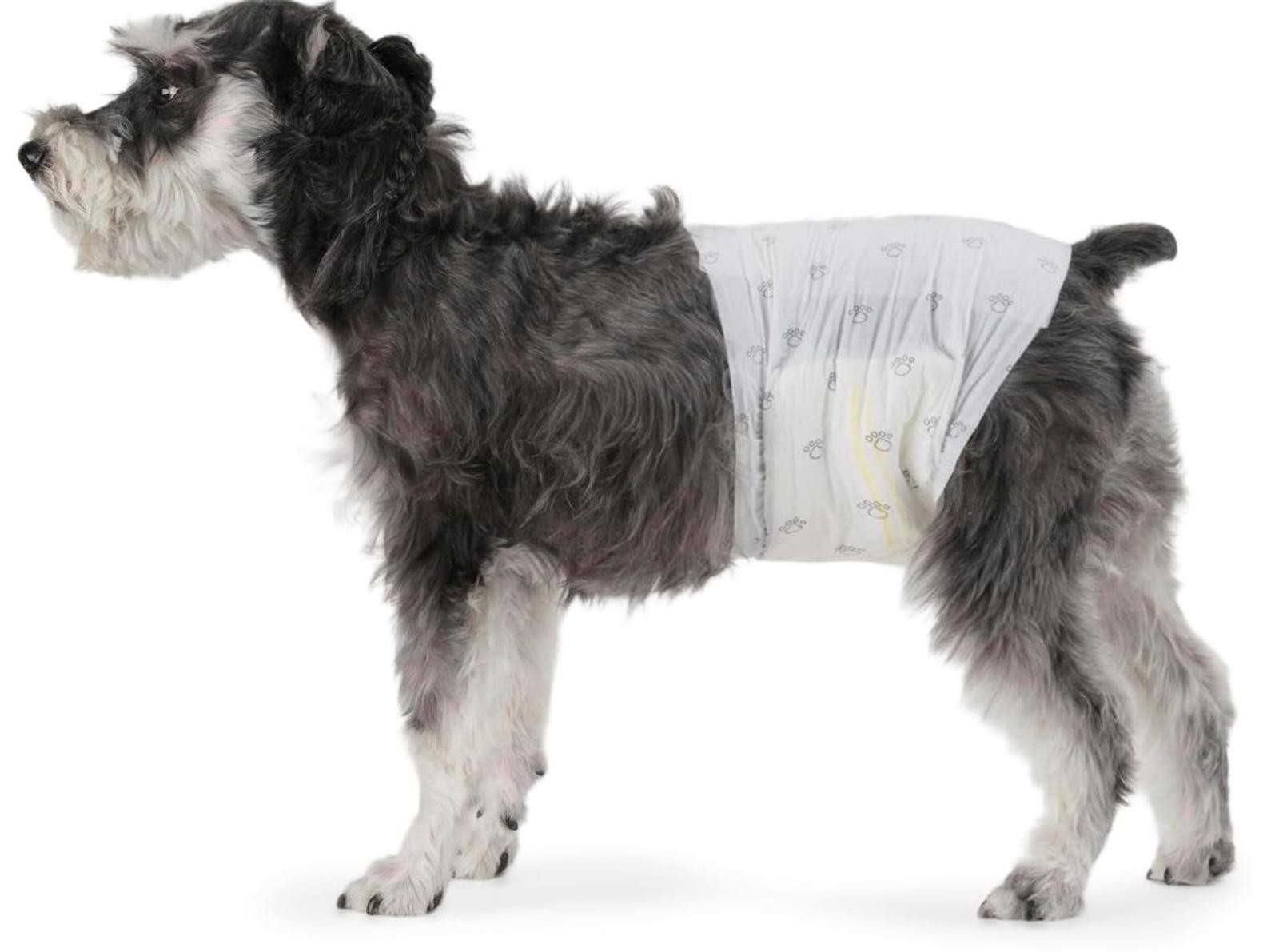 Male Dog Wraps, Disposable – Xtra -Small Pack of 30 count