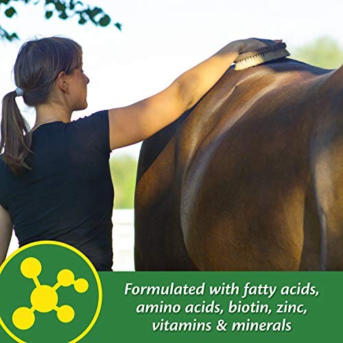 Farnam Super 14 Healthy Skin & Coat Supplement for Horses, Shiny Coat, 2.75 Lb
