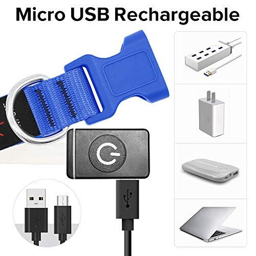 LED Dog Collar, Light Up Dog Collar USB Rechargeable, Assorted Colors , Sizes