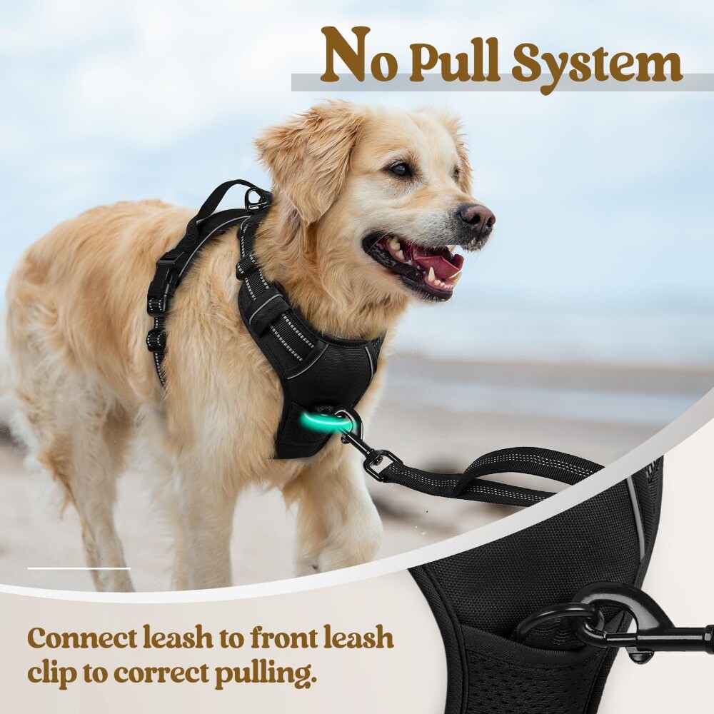 rabbitgoo Dog Harness with 2 Leash Clips No-Pull Reflective Vest for Large Dogs