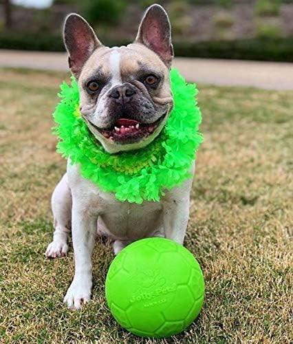 Jolly Pets Medium Soccer Ball Floating-Bouncing Dog Toy, 6 inch Diameter, Apple