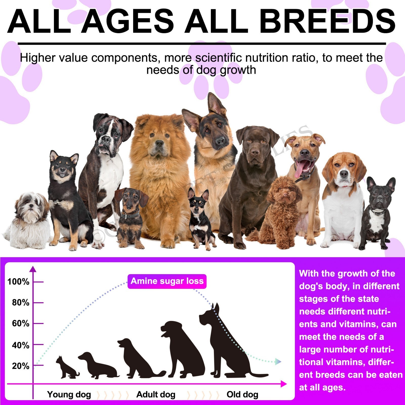 15 in 1 Dog Multivitamins and Supplements, Dog Hip and Joint Supplement, 150 CT