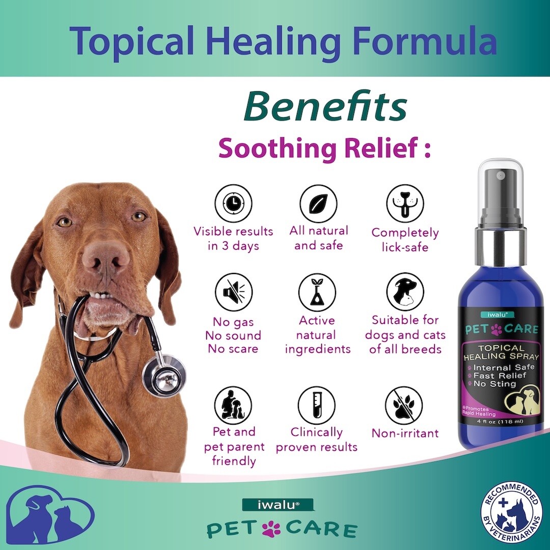 DOG OINTMENT FOR WOUNDS Best Natural Pet Skin Soother Flea Treatment For Puppies