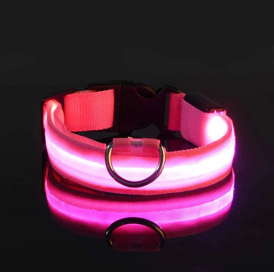 LED Flashing Dog Leash & Luminous Collar Nylon Night Safety Glow Pet Lead