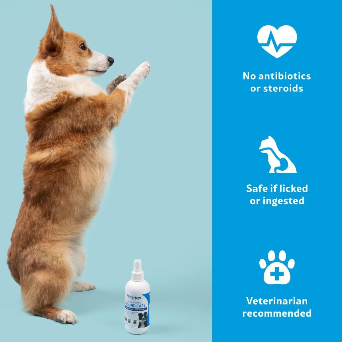 Plus Dog Wound Care Spray | Healing Aid and Skin Repair, Clean Wounds, Reliev…