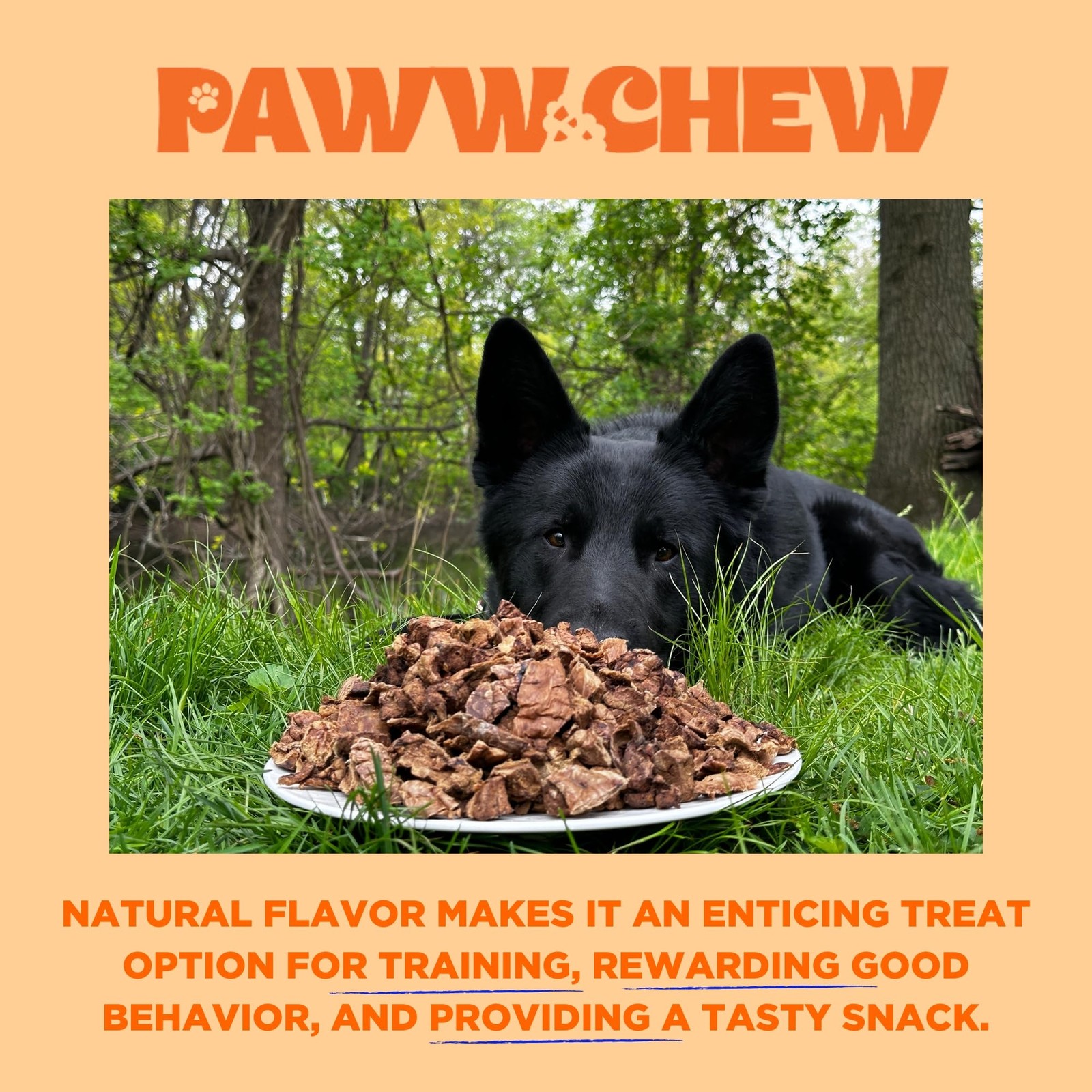 Beef Lung Dog Treats – 100% Natural, Single Ingredient, (2.5 Pound) Made in t…
