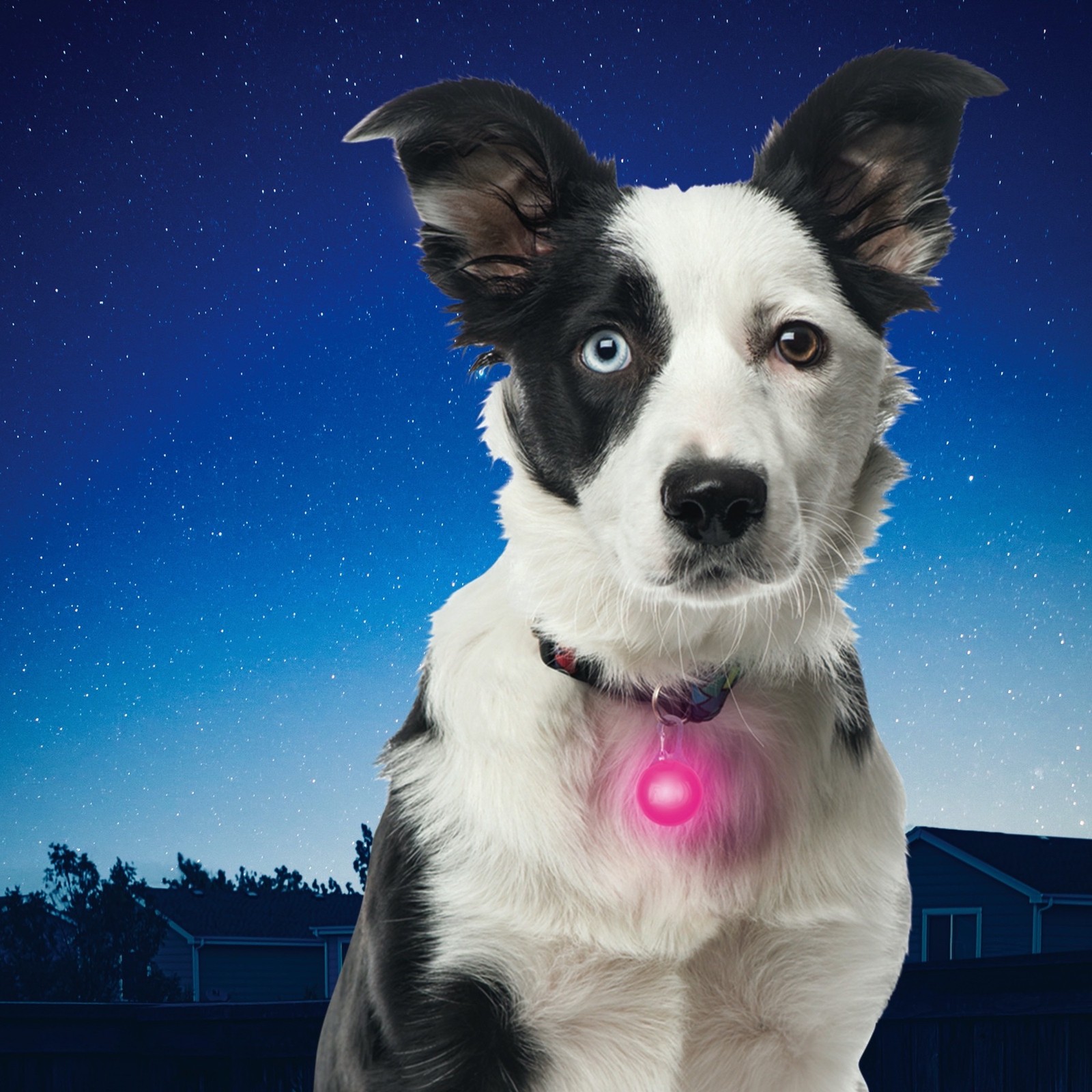 Nite Ize SpotLit Collar Light – Pink Plastic