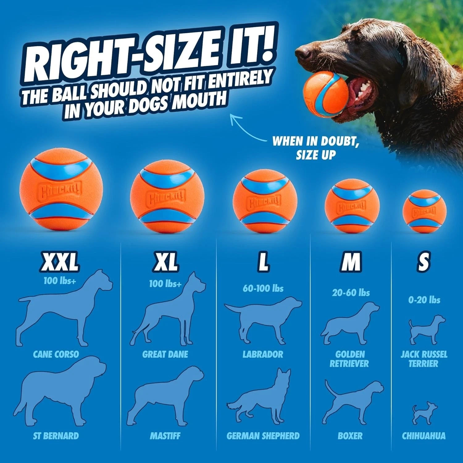 ChuckIt! Ultra Ball Dog Toy, Durable High Bounce Rubber Dog Ball, Medium 2 pack