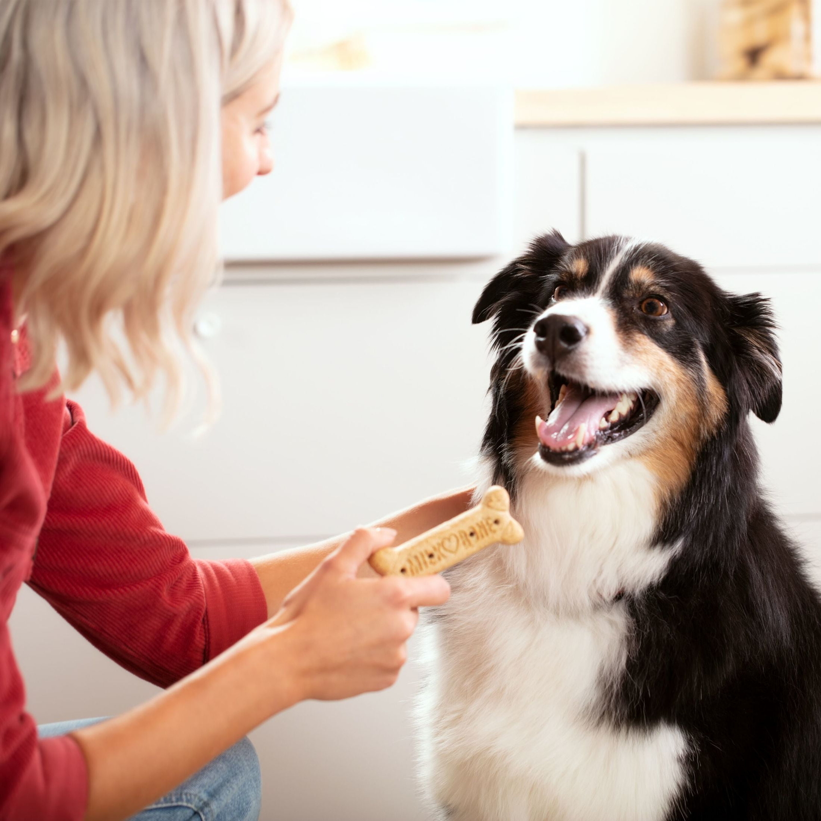 Original Biscuits, Large Dog Treats, 10 Lb.