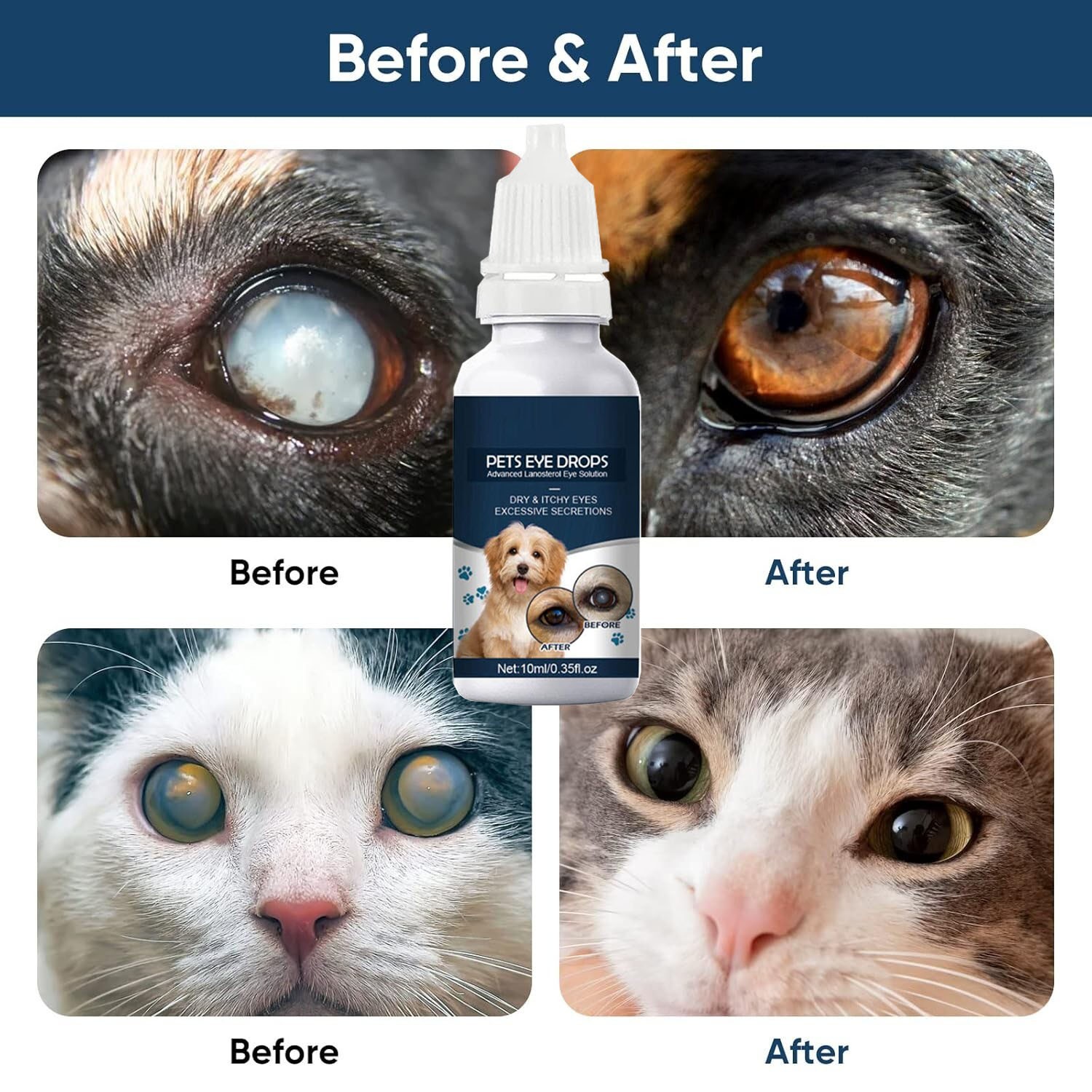 Cataract Drops for Dogs, Dog Eye Drops, Improve Vision Clarity,Improve Eye Visi