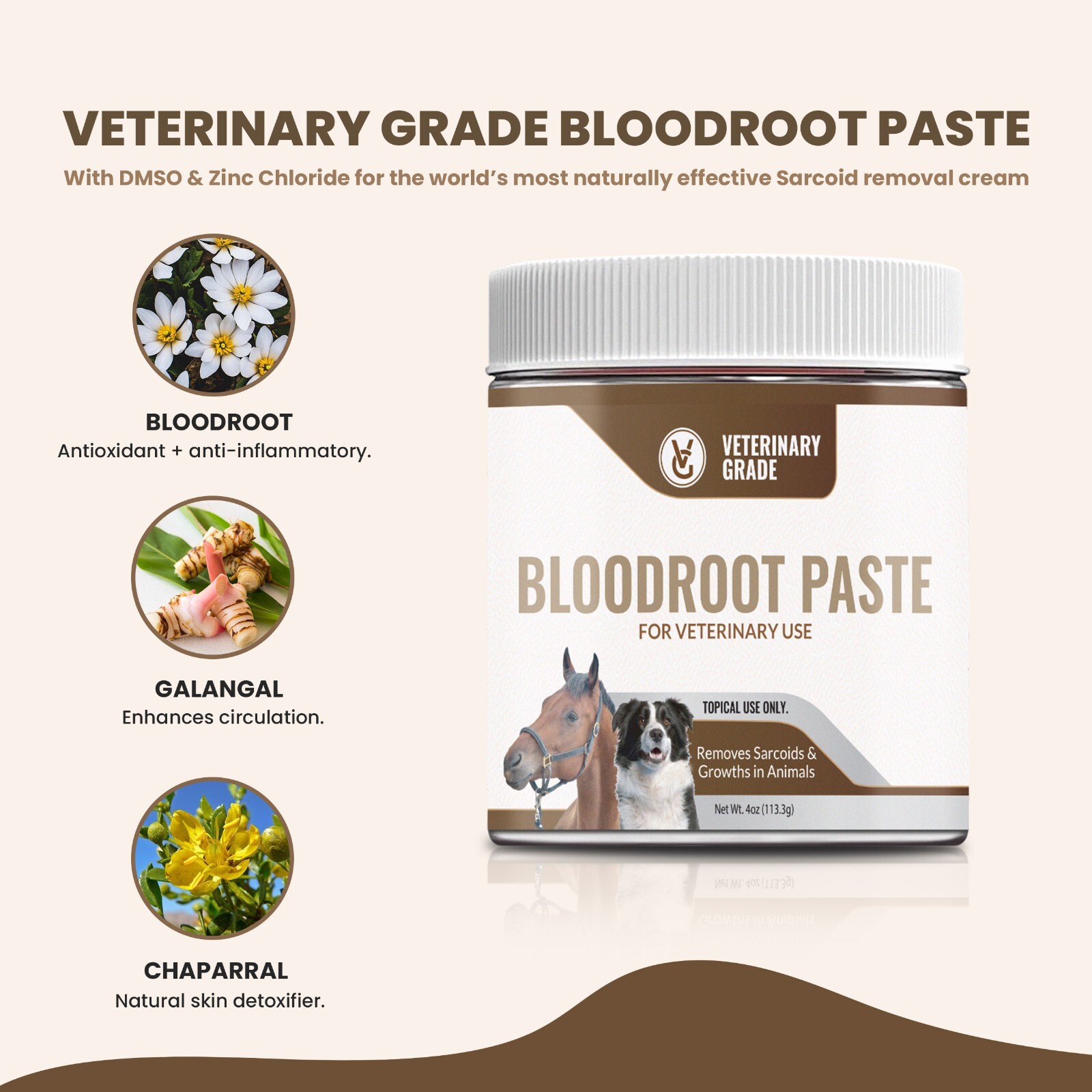 Handmade Bloodroot Paste for Equine Sarcoid-Removal | (4oz) Buy 3 Get 1 Free