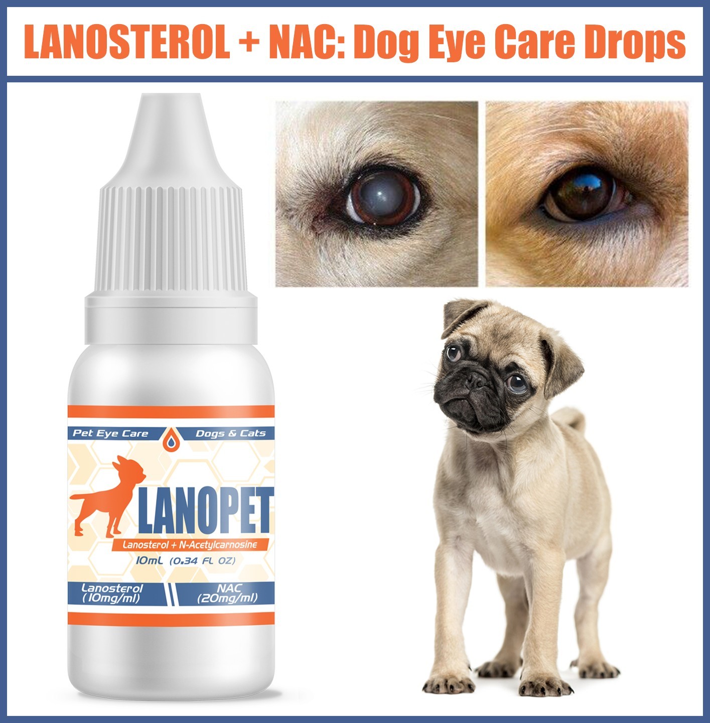 Lanosterol + NAC Dog Cat Eye drops | Cataracts, Dry Eyes, Tearing, MAX Strength