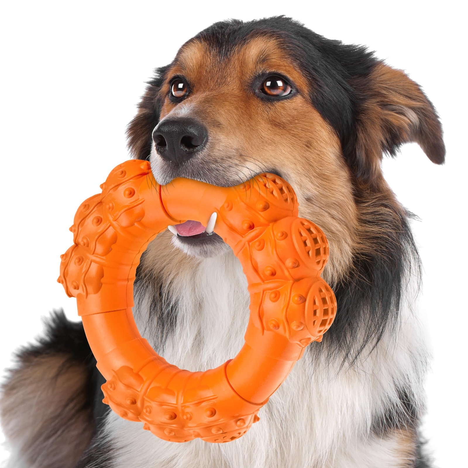 Indestructible Dog Chew Ring Toys for Aggressive Chewers, Super Chewer Dog Toys