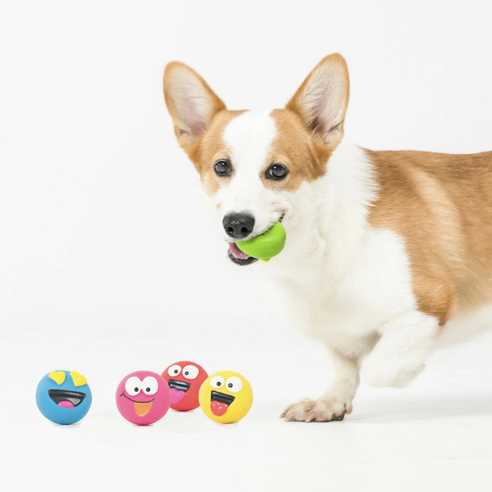 (2 pack) Vibrant Life 5pk EMOTICON LATEX DOG TOY,Comfort Squeak