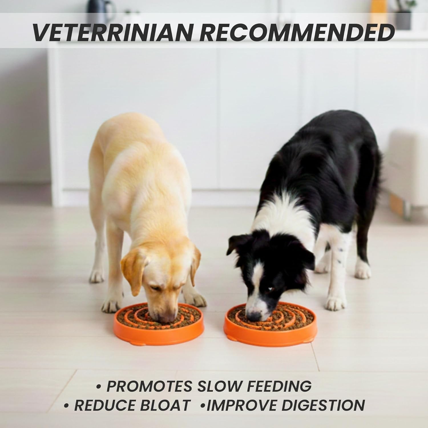 Slow Feeder Dogs Bowl for Large Dogs Anti-Gulping Pet Slower Food Feeding Bowl