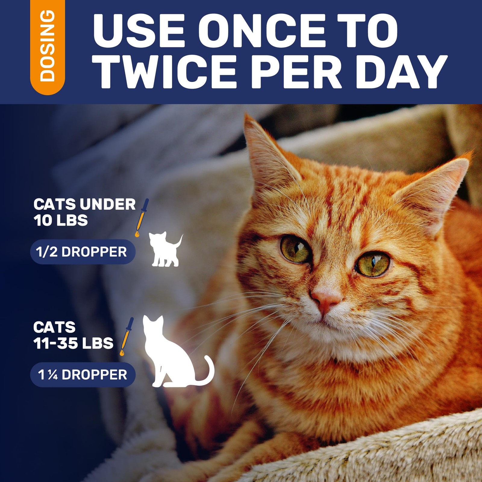 Antibiotics for Cats in Drops – Сat Respiratory 1 Pack x 2 Fl Oz, Turkey