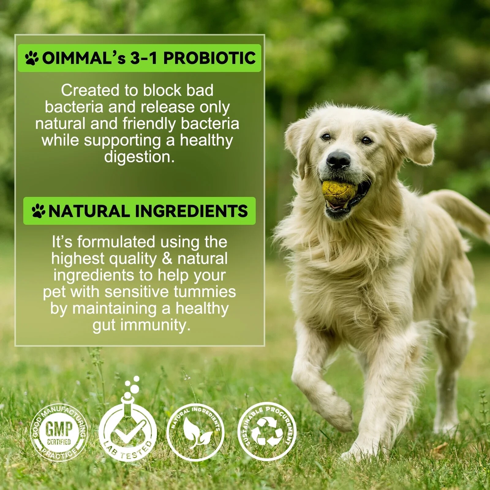 Probiotic for Dogs, Natural 3 in 1 Relieve Diarrhea, Supports Gut, Itchy Skin