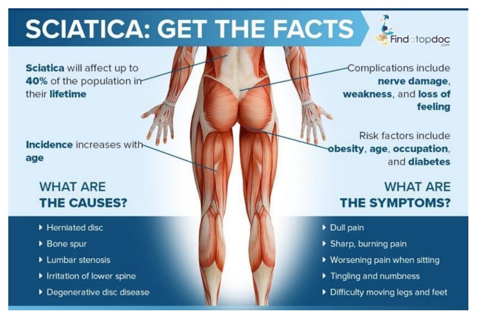 POWERFUL HERBS FOR SCIATICA PAIN IN MEN & WOMEN – 120 CAPS – MADE IN USA