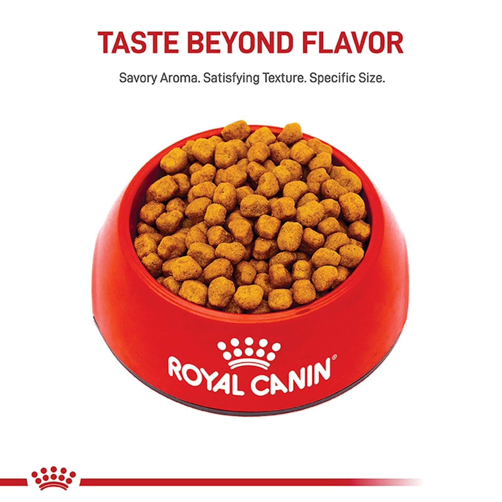 Royal Canin Adult Dry Dog Food – Shih Tzu Breed Health Nutrition, 10Lb