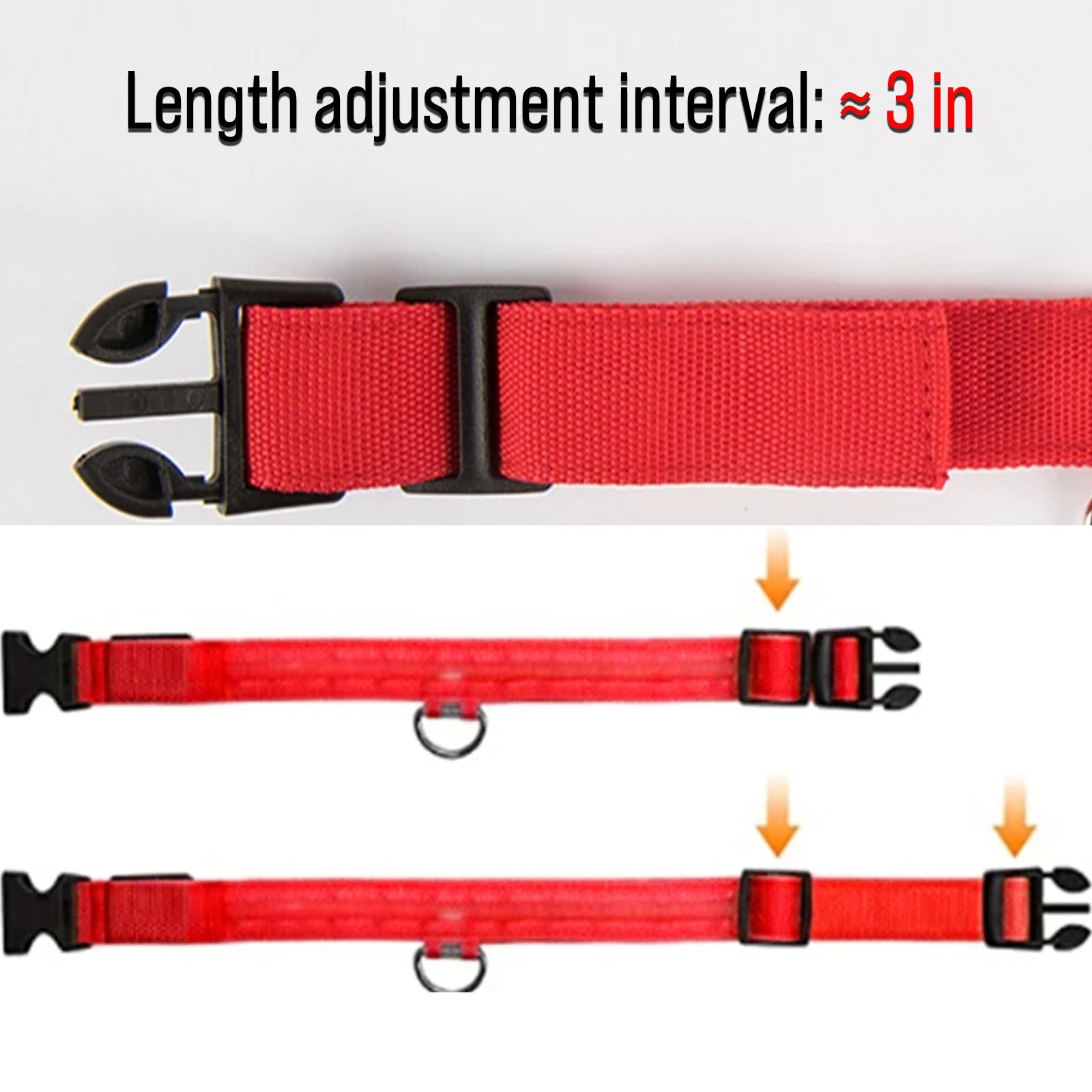 USB Rechargeable LED Dog Collar w/ Pendant – Glowing Safety for Small Dogs & Cat