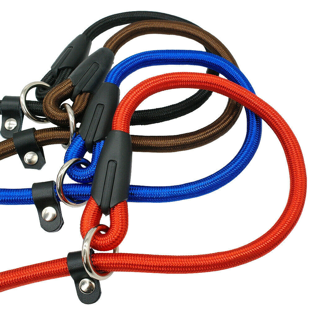 Dog Nylon Adjustable Loop Slip Rope Leash Lead Training Choke Pet Collar 130cm