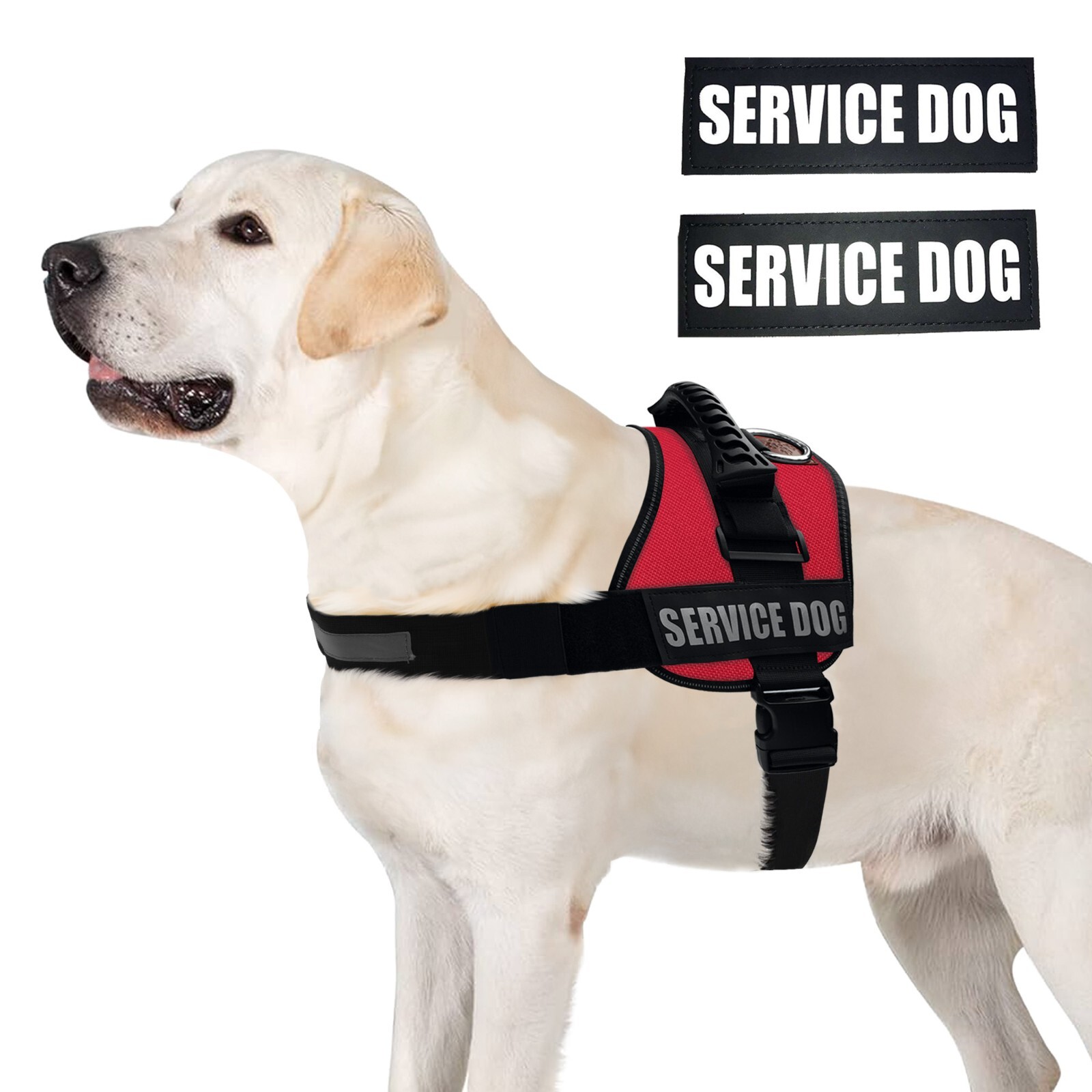 ALBCORP Reflective Service Dog Vest Harness, Woven Nylon with Adjustable Straps