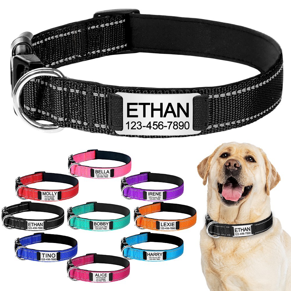 Reflective Nylon Dog Collar Custom Name, Personalized Pet ID Tag Adjustable XS-L
