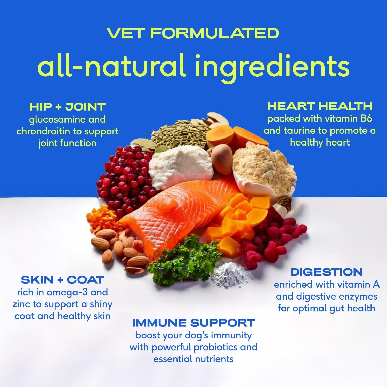 (120 Scoop) Native Pet 11-in-1 Dog Multivitamin Powder 28oz