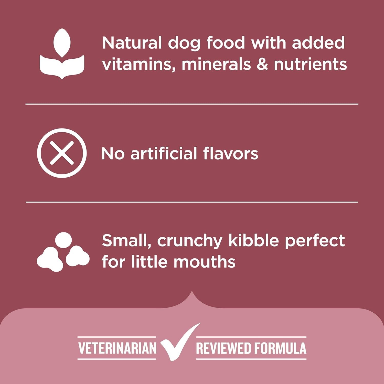 Nutrish Rachael Ray Dry Dog Food Small Breed Real Chicken & Veggies Recipe 5 lb.