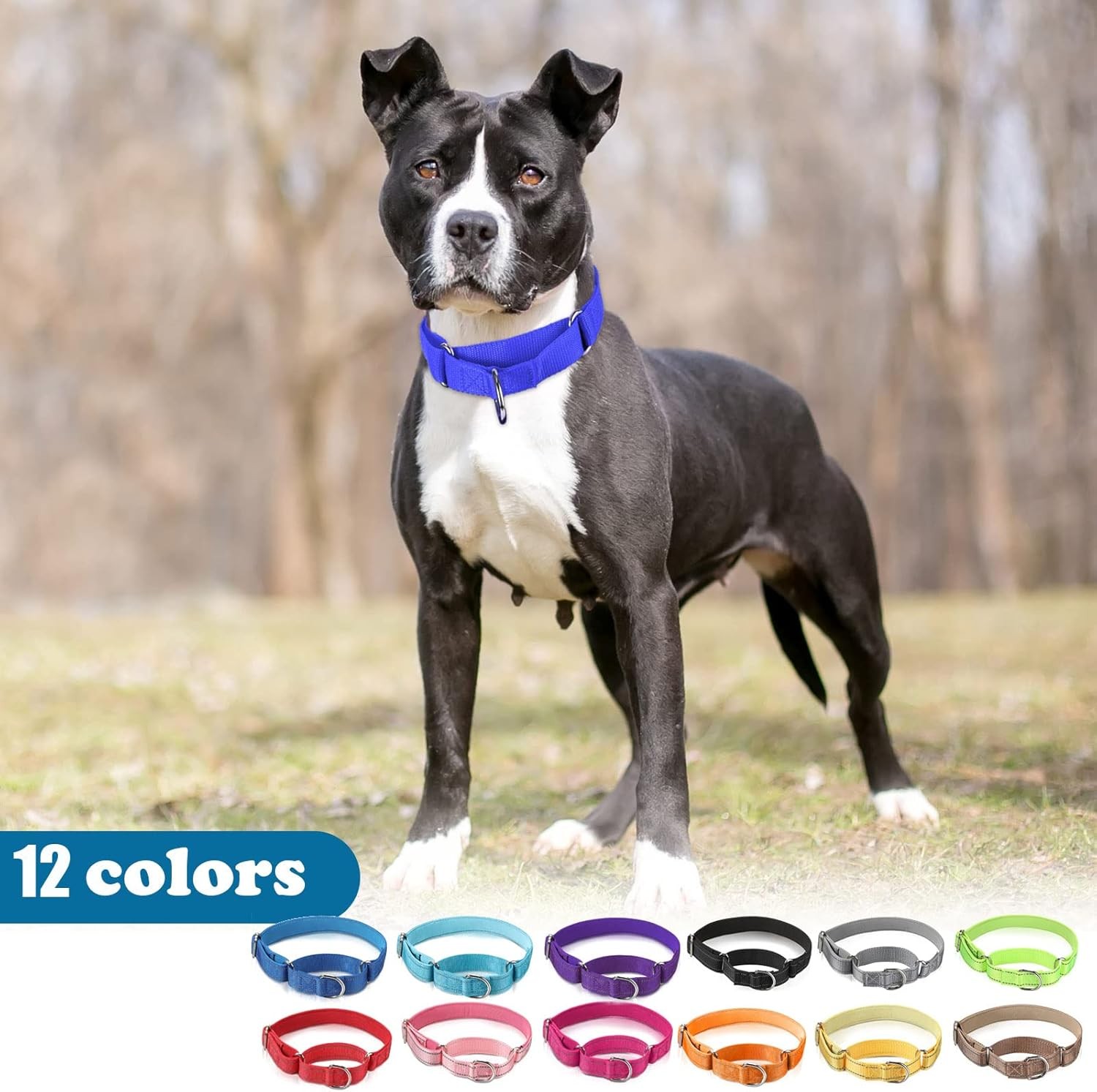 Cunno 12 Pcs Martingale Collar for Medium Dogs Small, as shown in the picture
