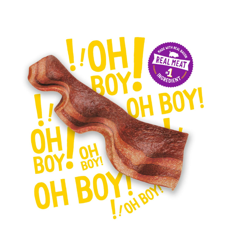 Purina Beggin’ Strips Dog Treats Original Real Bacon Flavor Tender Chews, 40 oz