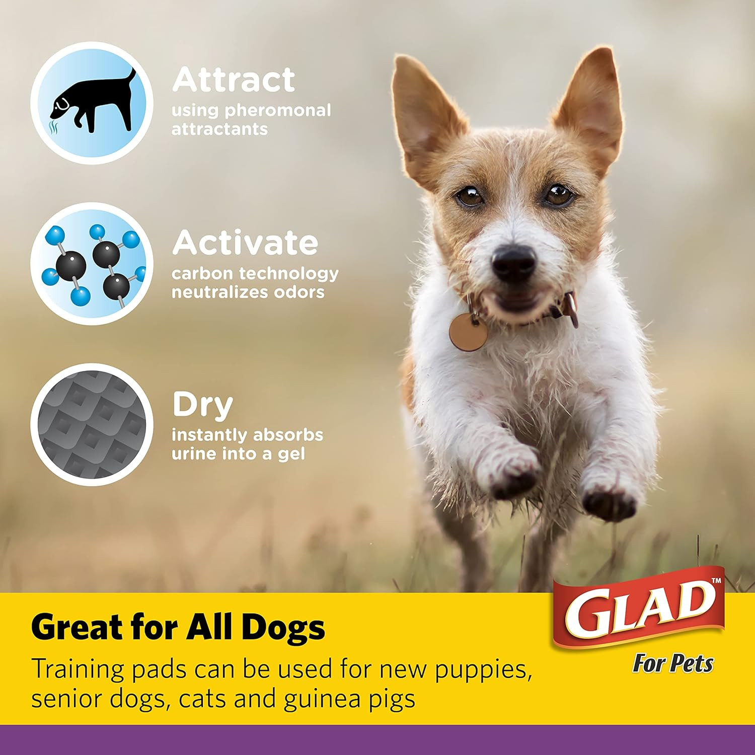 Glad Jumbo Charcoal Dog Training Pads 28X30 Inches 30 Count Extra Large