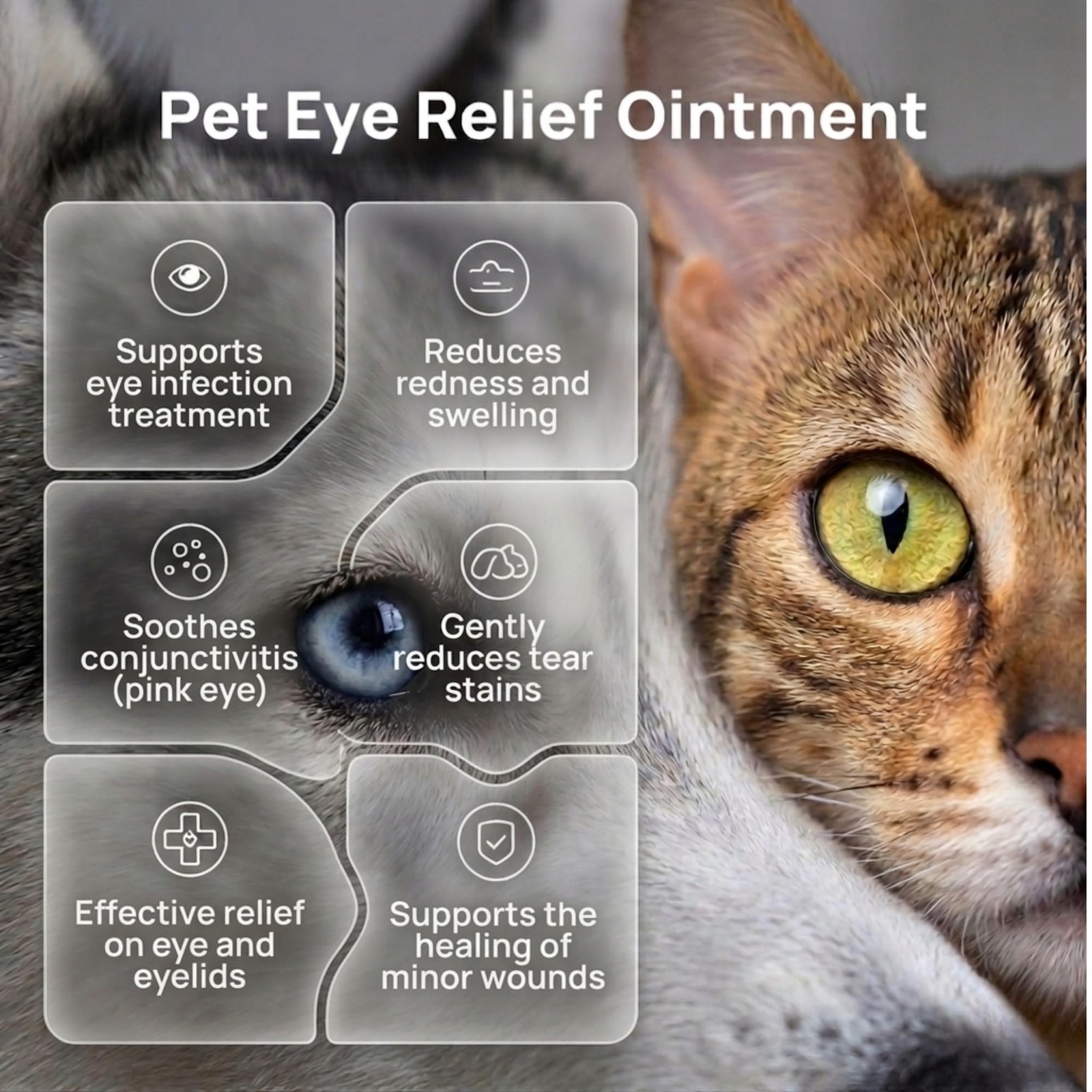 Pet Eye Cream – Vet-Formulated Dog Eye Infection Treatment, Pink Eye Relief, …